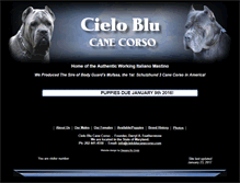 Tablet Screenshot of cieloblucanecorso.com